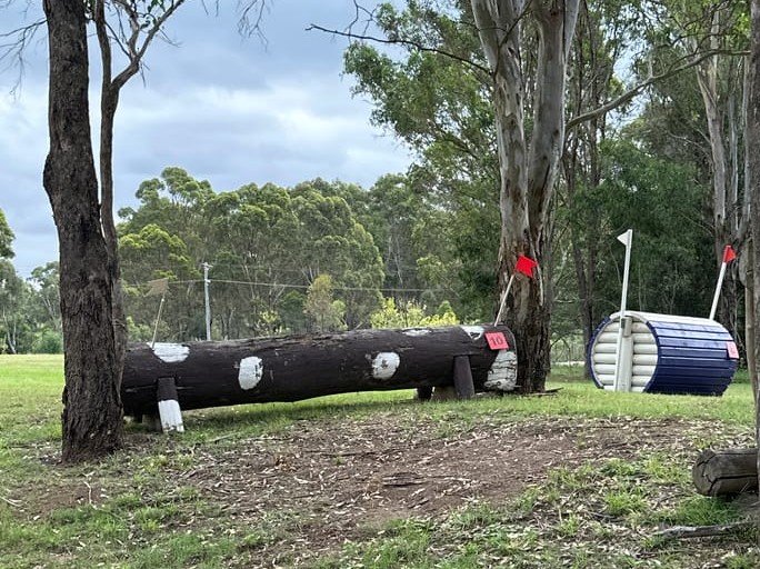 Sydney Eventing Eva 80cm March 2025 | CrossCountry App