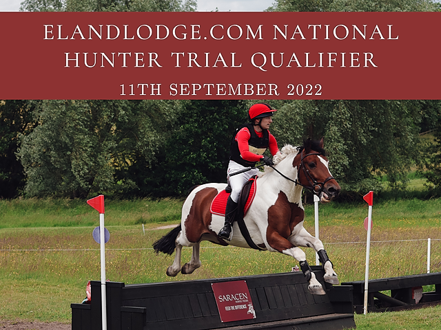 Eland Lodge 80cm (Purple) | CrossCountry App